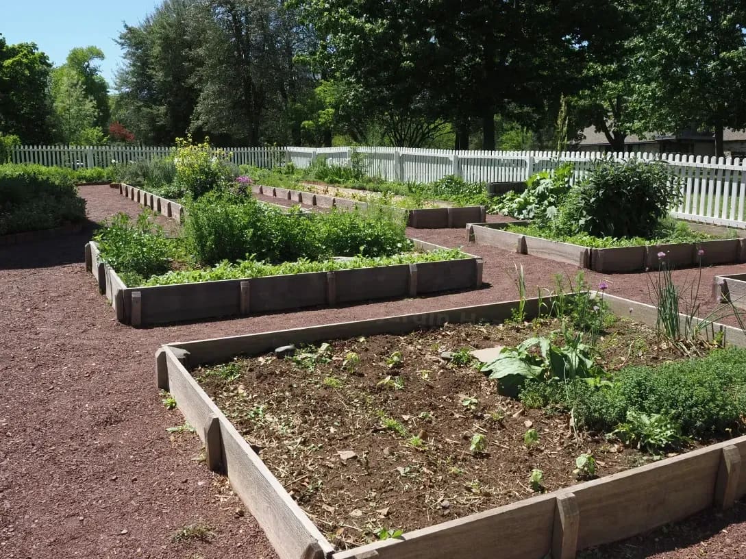 Jardin Harmonie 13