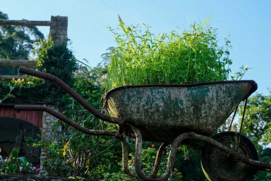 Jardin Harmonie 14
