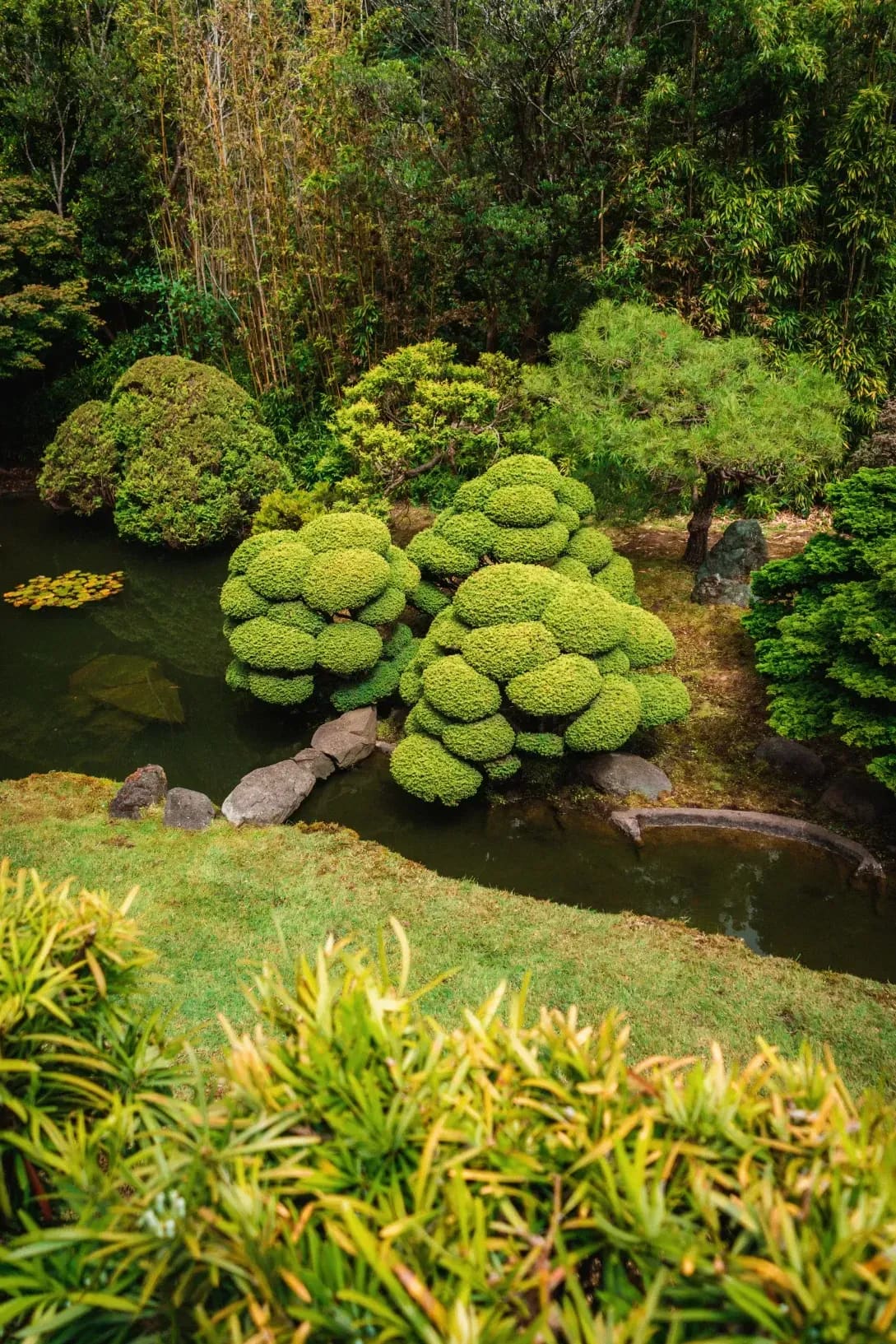 Jardin Harmonie 15
