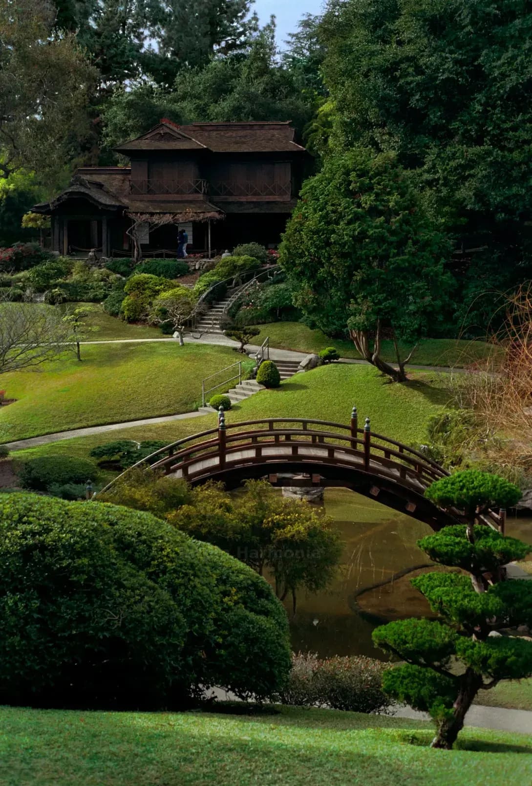 Jardin Harmonie 2